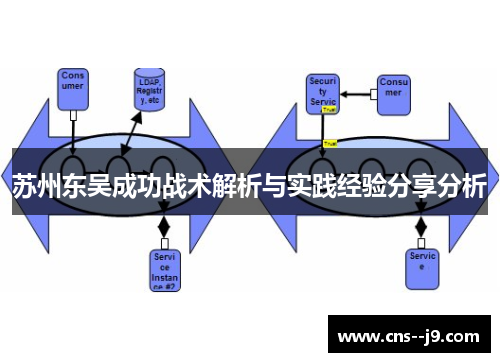 苏州东吴成功战术解析与实践经验分享分析