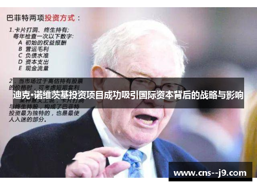 迪克·诺维茨基投资项目成功吸引国际资本背后的战略与影响