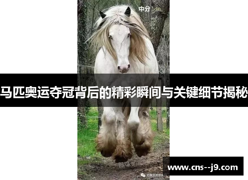 马匹奥运夺冠背后的精彩瞬间与关键细节揭秘