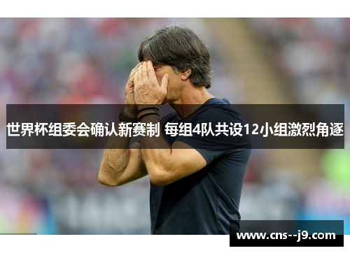 世界杯组委会确认新赛制 每组4队共设12小组激烈角逐