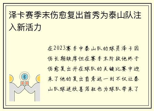 泽卡赛季末伤愈复出首秀为泰山队注入新活力