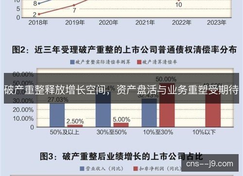 破产重整释放增长空间,资产盘活与业务重塑受期待 破产重整释放增长空间,资产盘活与业务重塑受期待